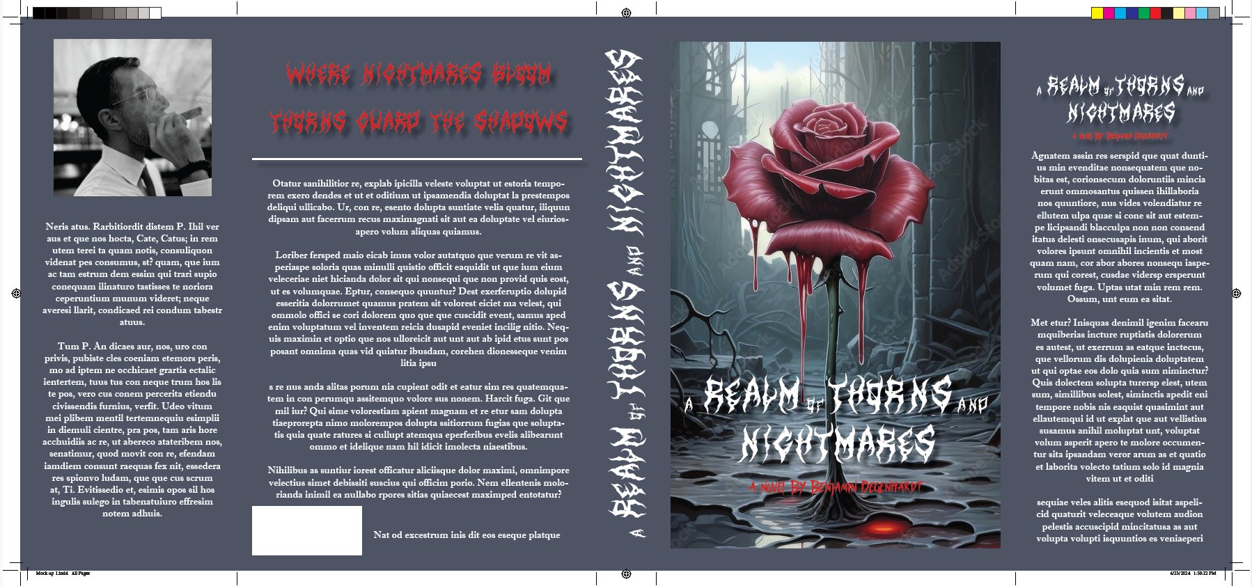 A Realm of Thorns and Nightmares book cover