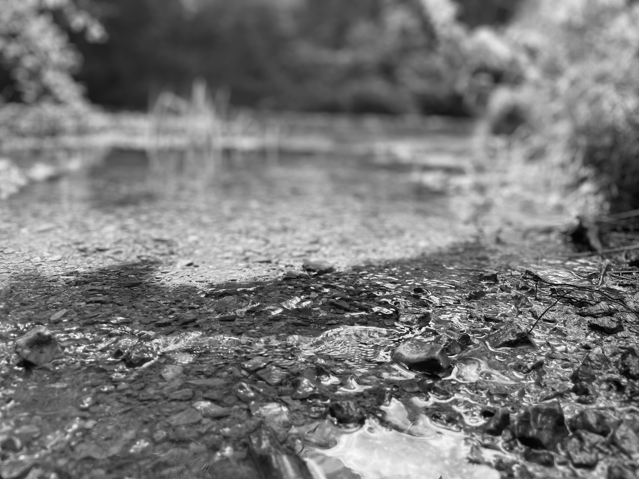 Silent Edge — river stones black and white